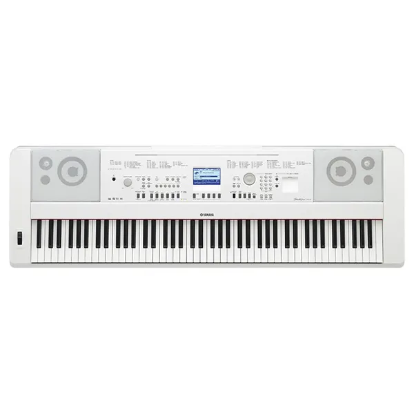 Music City – Tổng Kho Piano, Guitar, Organ | Dịch Vụ Giáo Dục Âm Nhạc