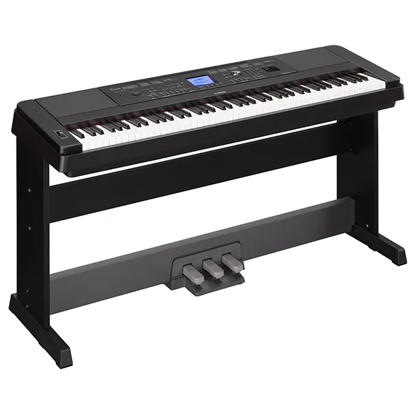 Music City – Tổng Kho Piano, Guitar, Organ | Dịch Vụ Giáo Dục Âm Nhạc