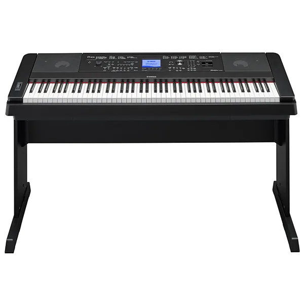 Music City – Tổng Kho Piano, Guitar, Organ | Dịch Vụ Giáo Dục Âm Nhạc
