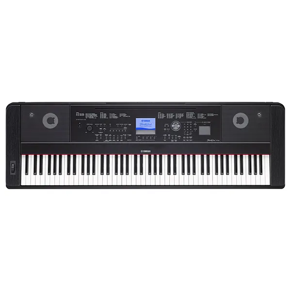 Music City – Tổng Kho Piano, Guitar, Organ | Dịch Vụ Giáo Dục Âm Nhạc