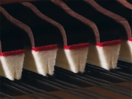 Music City – Tổng Kho Piano, Guitar, Organ | Dịch Vụ Giáo Dục Âm Nhạc