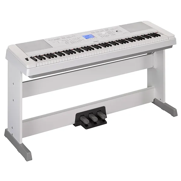 Music City – Tổng Kho Piano, Guitar, Organ | Dịch Vụ Giáo Dục Âm Nhạc