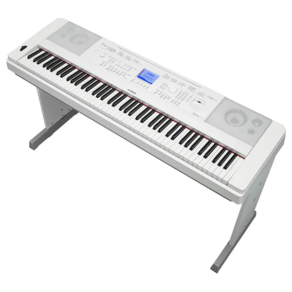 Music City – Tổng Kho Piano, Guitar, Organ | Dịch Vụ Giáo Dục Âm Nhạc