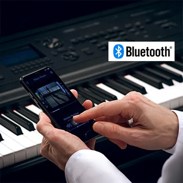 Music City – Tổng Kho Piano, Guitar, Organ | Dịch Vụ Giáo Dục Âm Nhạc