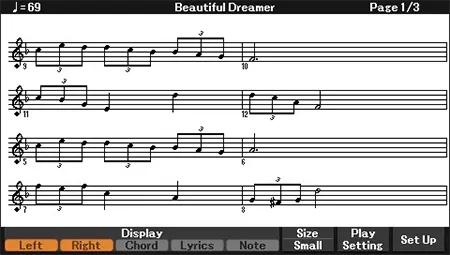 Music City – Tổng Kho Piano, Guitar, Organ | Dịch Vụ Giáo Dục Âm Nhạc