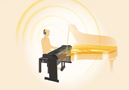 Music City – Tổng Kho Piano, Guitar, Organ | Dịch Vụ Giáo Dục Âm Nhạc