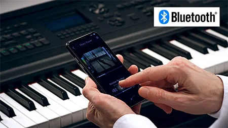 Music City – Tổng Kho Piano, Guitar, Organ | Dịch Vụ Giáo Dục Âm Nhạc
