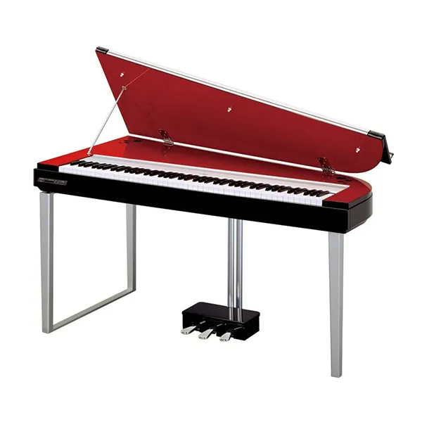 Music City – Tổng Kho Piano, Guitar, Organ | Dịch Vụ Giáo Dục Âm Nhạc