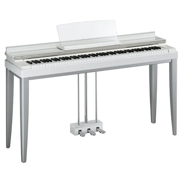 Music City – Tổng Kho Piano, Guitar, Organ | Dịch Vụ Giáo Dục Âm Nhạc