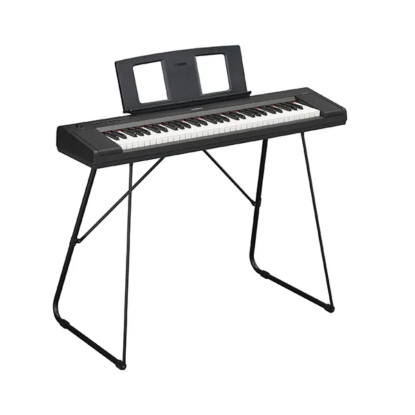 Music City – Tổng Kho Piano, Guitar, Organ | Dịch Vụ Giáo Dục Âm Nhạc