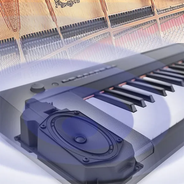 Music City – Tổng Kho Piano, Guitar, Organ | Dịch Vụ Giáo Dục Âm Nhạc