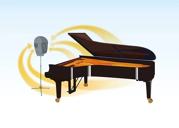 Music City – Tổng Kho Piano, Guitar, Organ | Dịch Vụ Giáo Dục Âm Nhạc