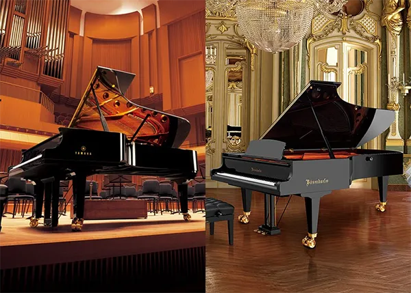 Music City – Tổng Kho Piano, Guitar, Organ | Dịch Vụ Giáo Dục Âm Nhạc