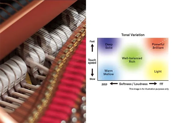 Music City – Tổng Kho Piano, Guitar, Organ | Dịch Vụ Giáo Dục Âm Nhạc