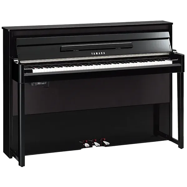 Music City – Tổng Kho Piano, Guitar, Organ | Dịch Vụ Giáo Dục Âm Nhạc