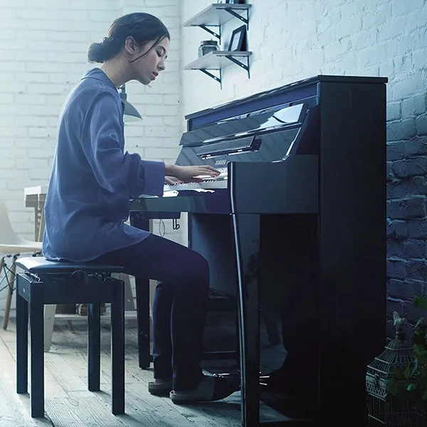 Music City – Tổng Kho Piano, Guitar, Organ | Dịch Vụ Giáo Dục Âm Nhạc