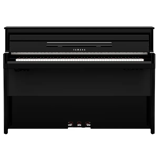 Music City – Tổng Kho Piano, Guitar, Organ | Dịch Vụ Giáo Dục Âm Nhạc