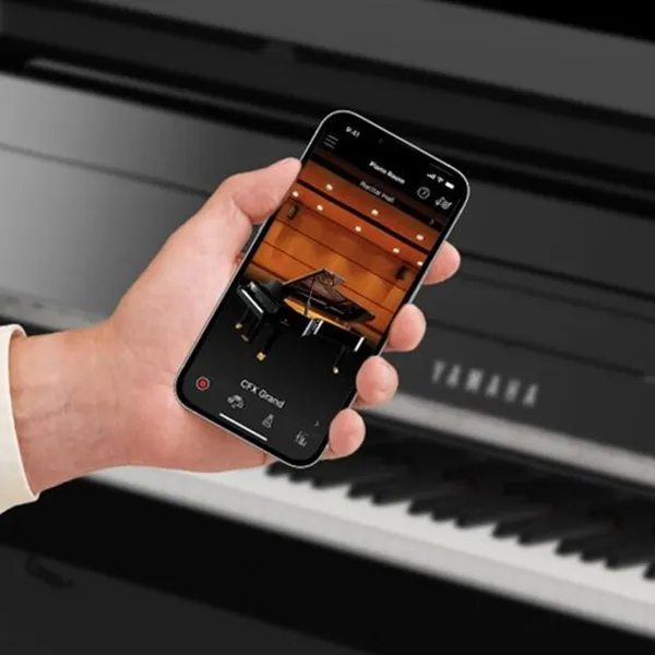 Music City – Tổng Kho Piano, Guitar, Organ | Dịch Vụ Giáo Dục Âm Nhạc