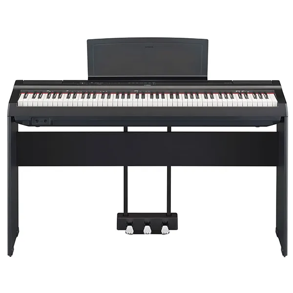 Music City – Tổng Kho Piano, Guitar, Organ | Dịch Vụ Giáo Dục Âm Nhạc