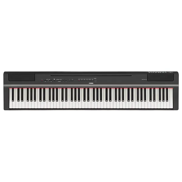 Music City – Tổng Kho Piano, Guitar, Organ | Dịch Vụ Giáo Dục Âm Nhạc
