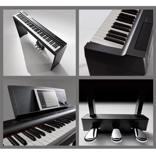 Music City – Tổng Kho Piano, Guitar, Organ | Dịch Vụ Giáo Dục Âm Nhạc