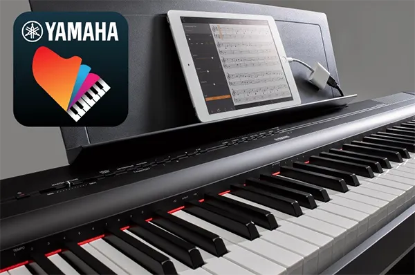 Music City – Tổng Kho Piano, Guitar, Organ | Dịch Vụ Giáo Dục Âm Nhạc