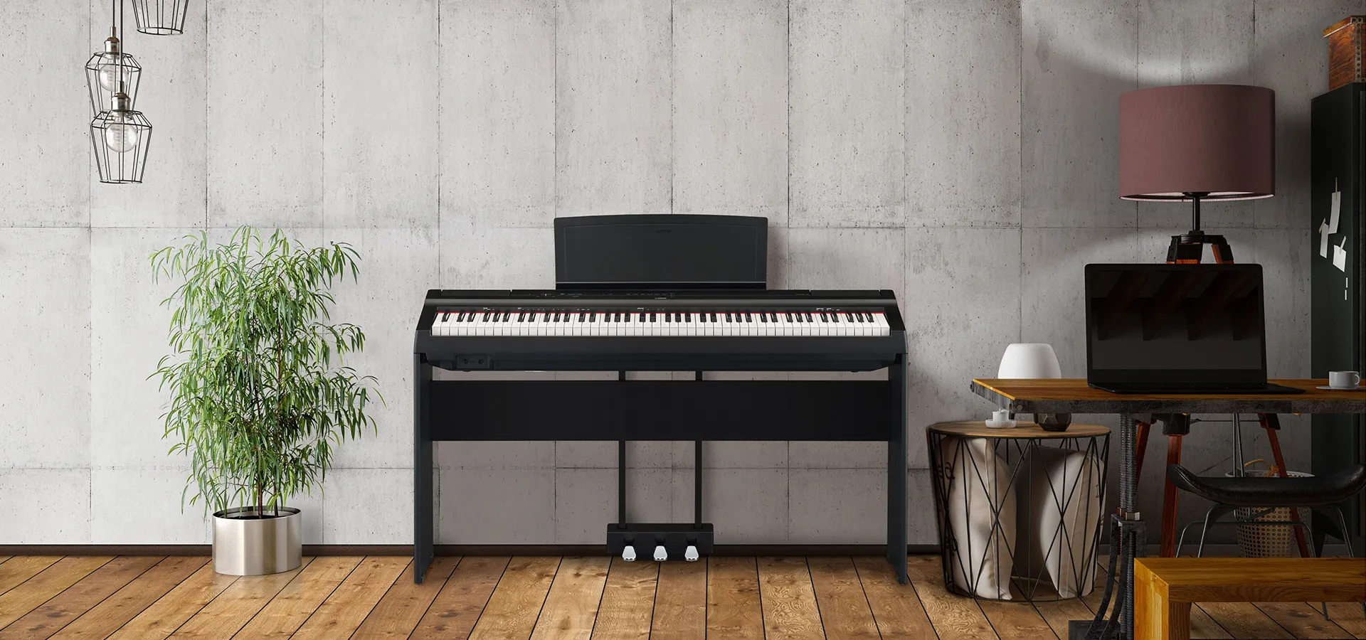 Music City – Tổng Kho Piano, Guitar, Organ | Dịch Vụ Giáo Dục Âm Nhạc