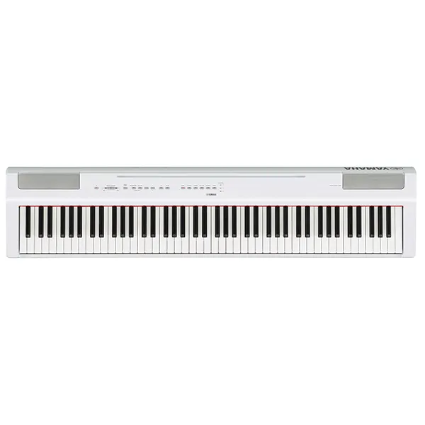 Music City – Tổng Kho Piano, Guitar, Organ | Dịch Vụ Giáo Dục Âm Nhạc