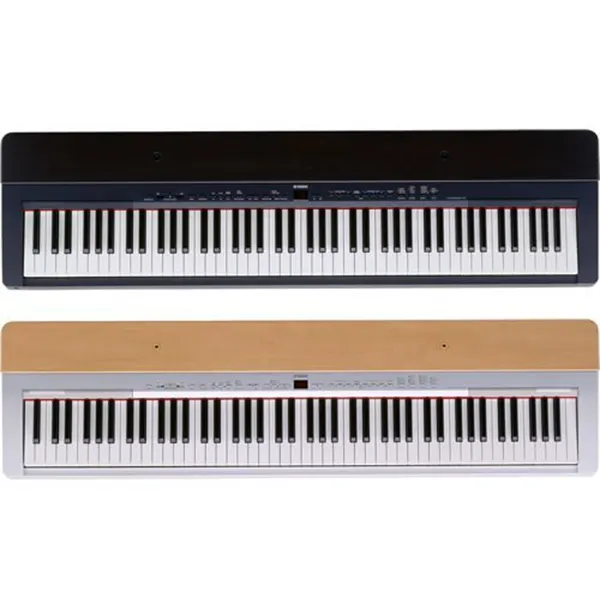 Music City – Tổng Kho Piano, Guitar, Organ | Dịch Vụ Giáo Dục Âm Nhạc