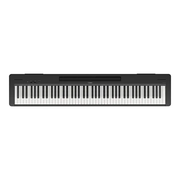 Music City – Tổng Kho Piano, Guitar, Organ | Dịch Vụ Giáo Dục Âm Nhạc