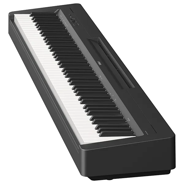 Music City – Tổng Kho Piano, Guitar, Organ | Dịch Vụ Giáo Dục Âm Nhạc