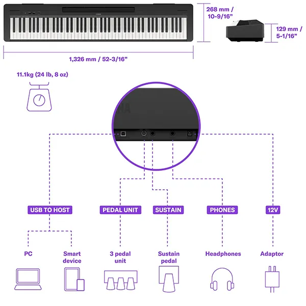 Music City – Tổng Kho Piano, Guitar, Organ | Dịch Vụ Giáo Dục Âm Nhạc