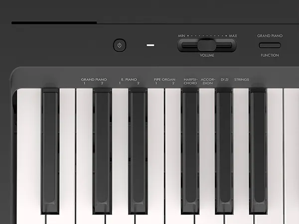 Music City – Tổng Kho Piano, Guitar, Organ | Dịch Vụ Giáo Dục Âm Nhạc