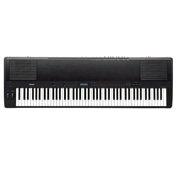 Music City – Tổng Kho Piano, Guitar, Organ | Dịch Vụ Giáo Dục Âm Nhạc