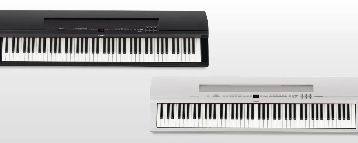 Music City – Tổng Kho Piano, Guitar, Organ | Dịch Vụ Giáo Dục Âm Nhạc