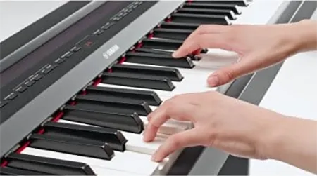 Music City – Tổng Kho Piano, Guitar, Organ | Dịch Vụ Giáo Dục Âm Nhạc