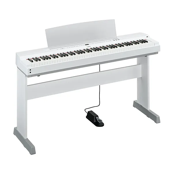 Music City – Tổng Kho Piano, Guitar, Organ | Dịch Vụ Giáo Dục Âm Nhạc