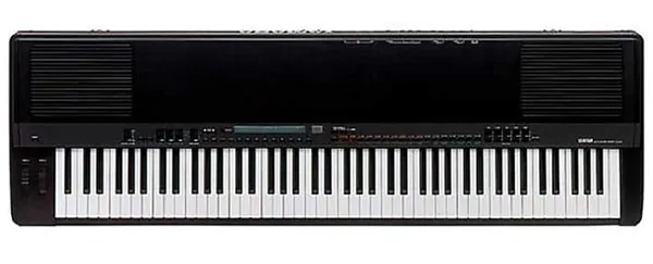 Music City – Tổng Kho Piano, Guitar, Organ | Dịch Vụ Giáo Dục Âm Nhạc