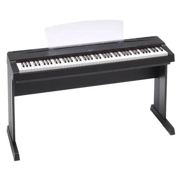 Music City – Tổng Kho Piano, Guitar, Organ | Dịch Vụ Giáo Dục Âm Nhạc