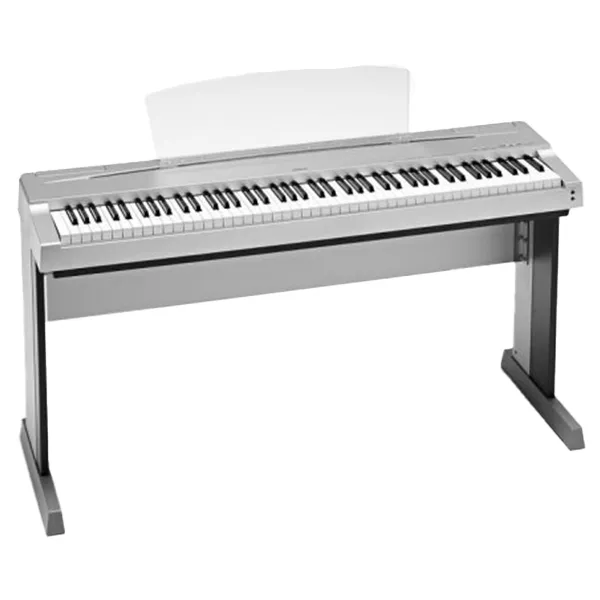 Music City – Tổng Kho Piano, Guitar, Organ | Dịch Vụ Giáo Dục Âm Nhạc