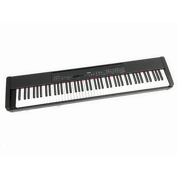 Music City – Tổng Kho Piano, Guitar, Organ | Dịch Vụ Giáo Dục Âm Nhạc