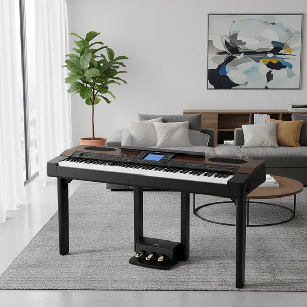 Music City – Tổng Kho Piano, Guitar, Organ | Dịch Vụ Giáo Dục Âm Nhạc