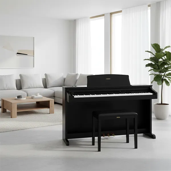 Music City – Tổng Kho Piano, Guitar, Organ | Dịch Vụ Giáo Dục Âm Nhạc