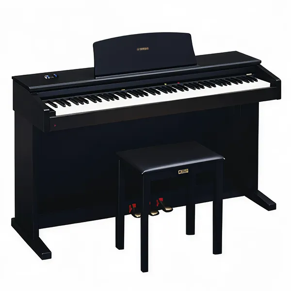 Music City – Tổng Kho Piano, Guitar, Organ | Dịch Vụ Giáo Dục Âm Nhạc