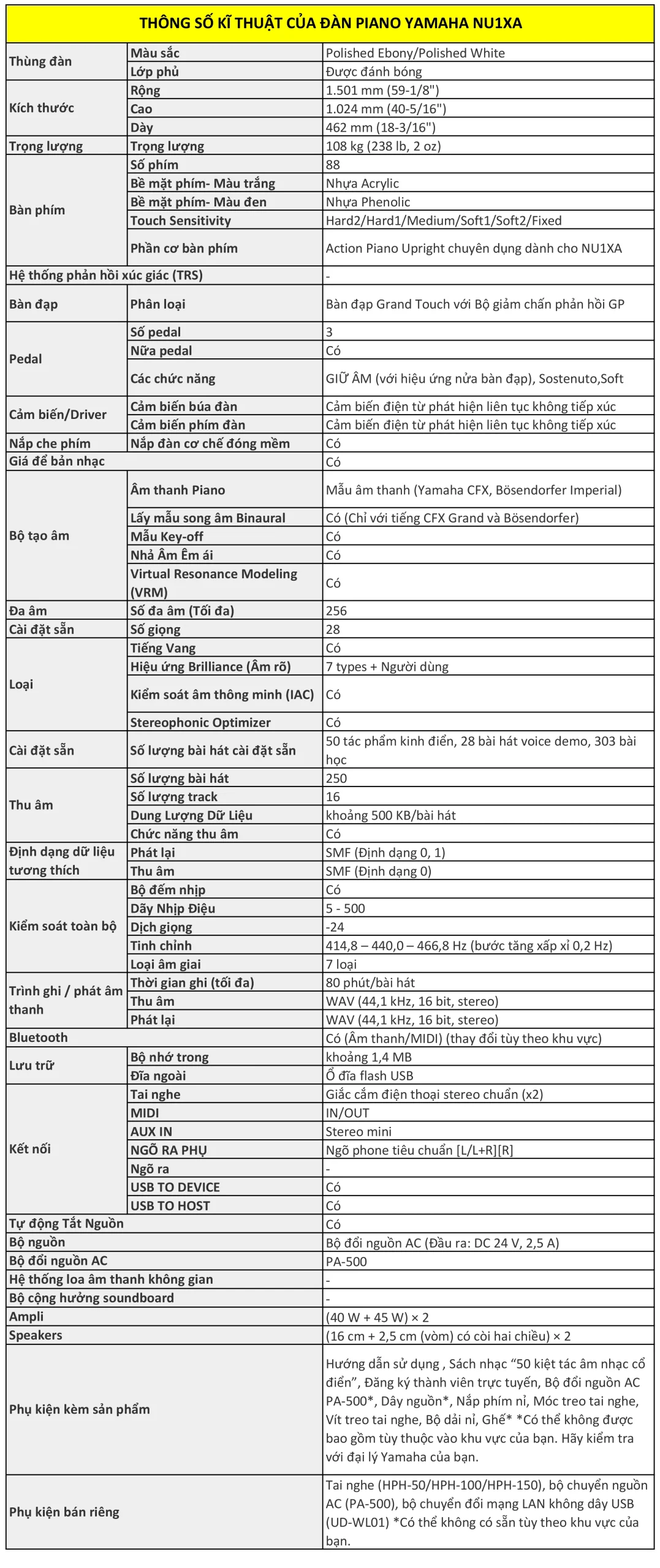 Music City – Tổng Kho Piano, Guitar, Organ | Dịch Vụ Giáo Dục Âm Nhạc