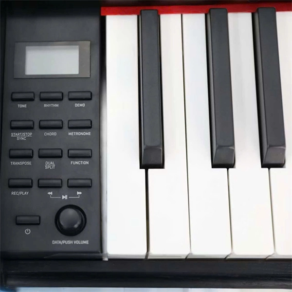 Music City – Tổng Kho Piano, Guitar, Organ | Dịch Vụ Giáo Dục Âm Nhạc