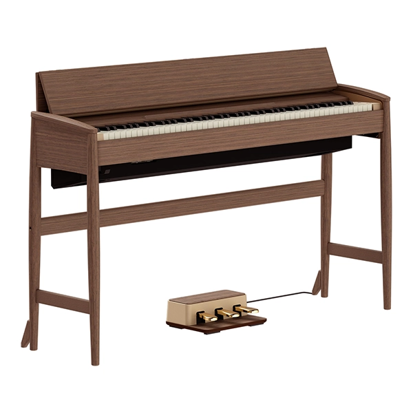 Music City – Tổng Kho Piano, Guitar, Organ | Dịch Vụ Giáo Dục Âm Nhạc