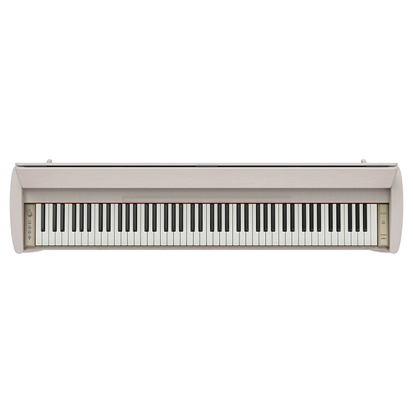 Music City – Tổng Kho Piano, Guitar, Organ | Dịch Vụ Giáo Dục Âm Nhạc