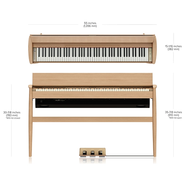 Music City – Tổng Kho Piano, Guitar, Organ | Dịch Vụ Giáo Dục Âm Nhạc