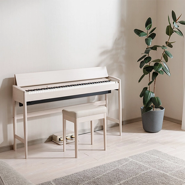 Music City – Tổng Kho Piano, Guitar, Organ | Dịch Vụ Giáo Dục Âm Nhạc